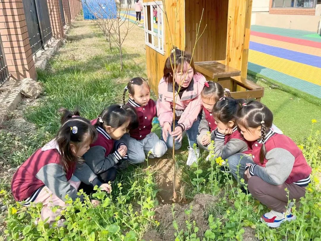 不負春光，“植”得期待|培文幼兒園植樹節活動